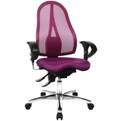 Sitness 15 Ergonomic Office Chair -Avery Store AIG2366731