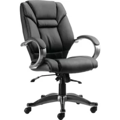 Avery Store 28 Black Executive Chair - Ergonomic Padded Arms - High Back - Leather