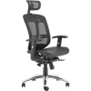 Black Executive Chair - High Mesh Back - Ergonomic Adjustable Arms