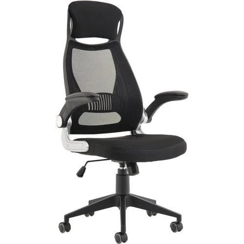 Black Executive Chair - Ergonomic High Mesh Back & Adjustable Arms 1 Black Executive Chair - Ergonomic High Mesh Back & Adjustable Arms