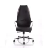 Dynamic Ossian Executive High Back Leather Office Chair