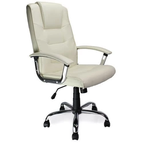 Daintree High Back Leather Faux Executive Chair 3 Daintree High Back Leather Faux Executive Chair - Image 3