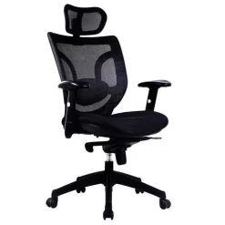 Executive Mesh Office Chair - High Back - Eliza Tinsley Newton 9 Executive Mesh Office Chair - High Back - Eliza Tinsley Newton -Avery Store AIG3617297