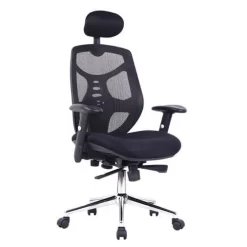 Mesh Office Chair - Ergonomic & With Headrest - Eliza Tinsley Polaris 12 Mesh Office Chair - Ergonomic & With Headrest - Eliza Tinsley Polaris -Avery Store AIG3617298