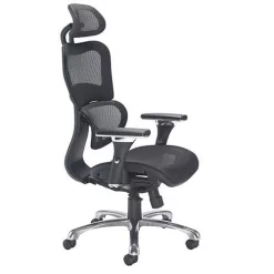 Moon High Back Mesh Office Chair With Headrest 7 Moon High Back Mesh Office Chair With Headrest -Avery Store AIG3617572