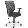 Office Chair With Mesh Back - Adjustable Arms - Stellar