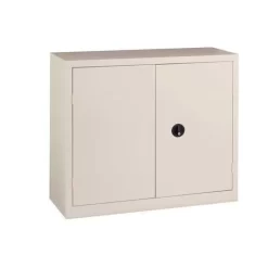 Monobloc Cabinet With Swing Doors - H 100 X W 100 cm -Avery Store AIG398330