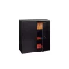 Monobloc Cabinet With Swing Doors - H 100 X W 100 cm