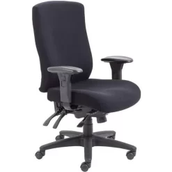 Ibis Heavy Duty Desk Chair 5 Ibis Heavy Duty Desk Chair -Avery Store AIG4378301