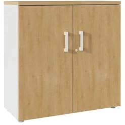 Filing Cabinet With Swing Doors - Height 73 cm