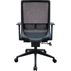 Lena Office Chair, Black -Avery Store AIG7003796