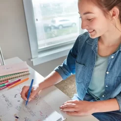 Flair Tropical Felt Tip Pen X 16 - Paper Mate -Avery Store AIG7320129