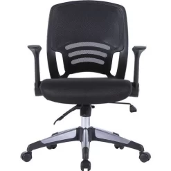 Mesh Office Operator Chair & Folding Arms - Graphite - Eliza Tinsley -Avery Store AIG8753010